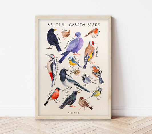 Great British Garden Birds | Art Print